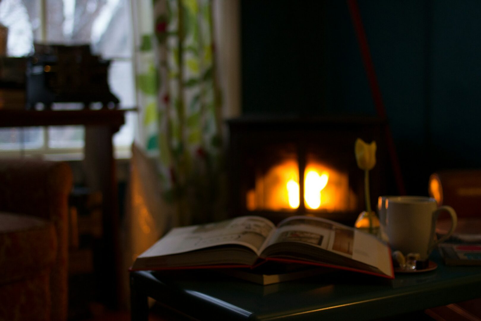 livre au coin du feu